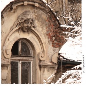 vatrechna korica