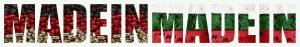 17 SaeedForoghi_Madein_2014-а