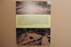 IMG_2258